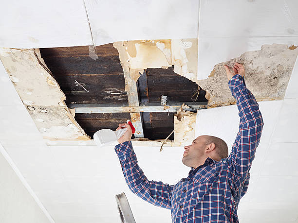 Best Asbestos and Lead Testing During Mold Inspection  in Pine Valley, CA